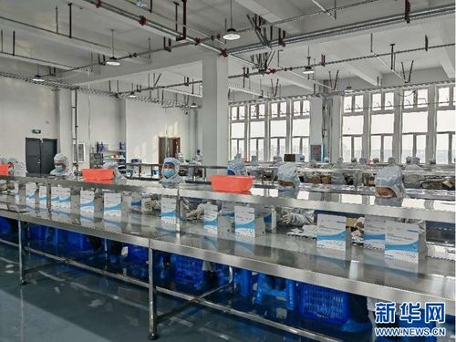 聚焦高質(zhì)量發(fā)展 從熱詞到熱度——新質(zhì)生產(chǎn)力引領(lǐng)的龍江網(wǎng)絡(luò)游戲開發(fā)實(shí)踐